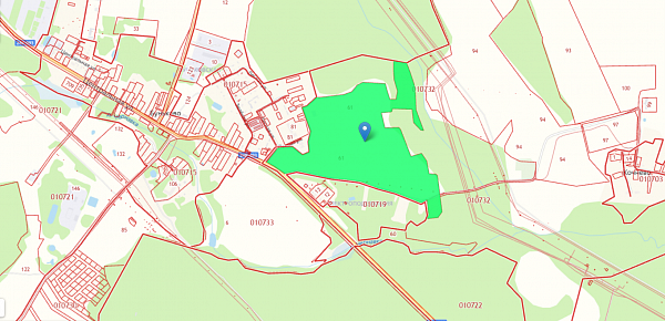 Площадь 30 га. Большое Буньково территориальное управление.